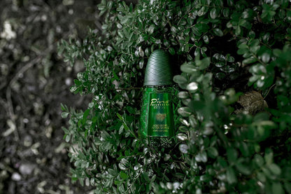 Pino Silvestre Shave Master Moisturizing Aftershave 125ml